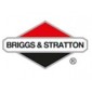 Briggs & Stratton